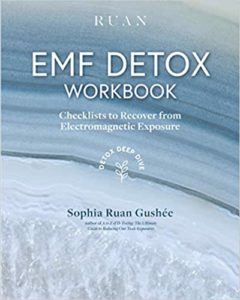 EMF Detox Workbook